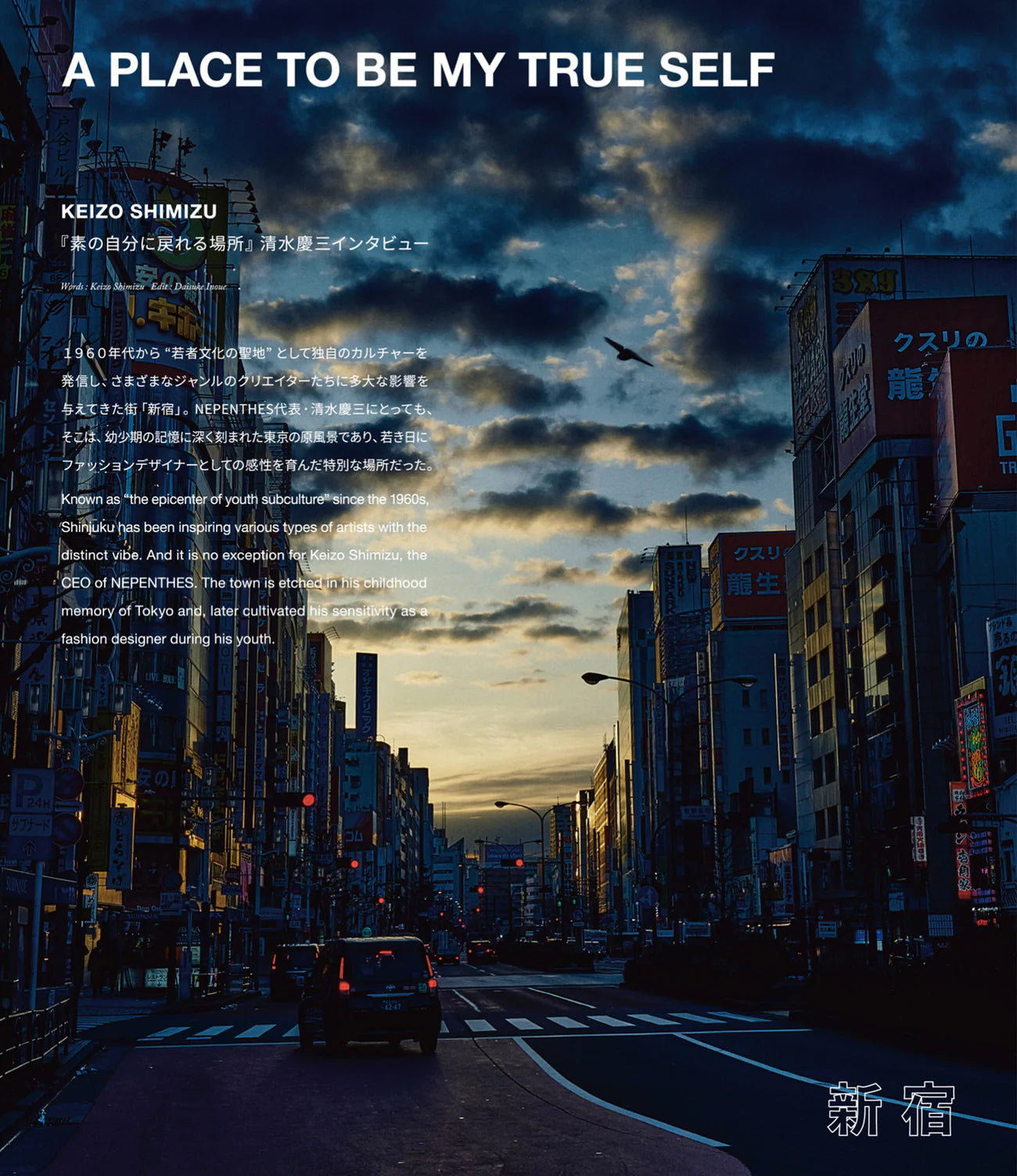 Nepenthes In Print Issue #20 – NEPENTHES – Nepenthes London