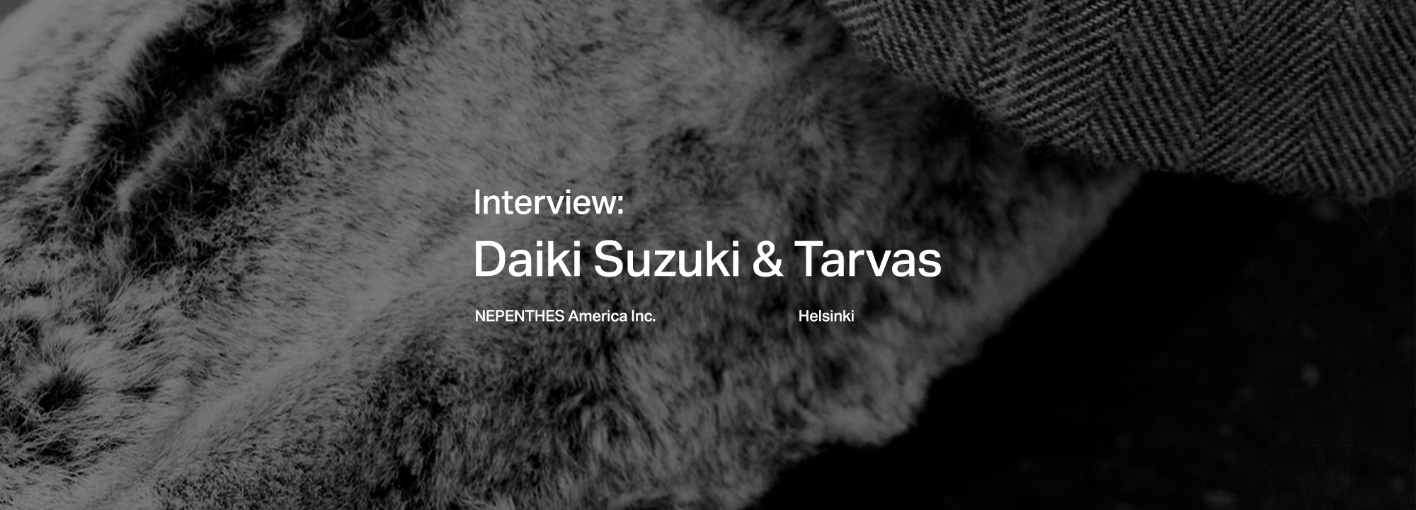 Interview: Daiki Suzuki & Tarvas