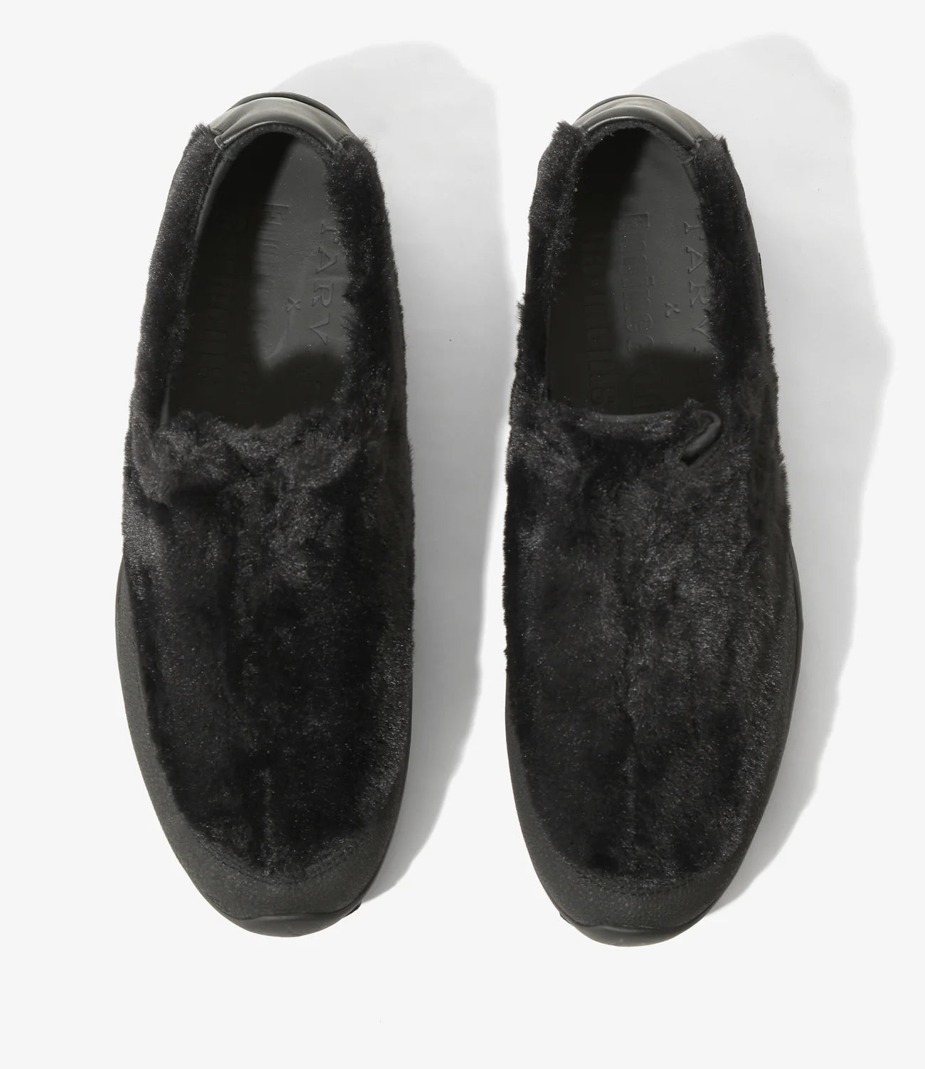 Wanderer – Black Fur