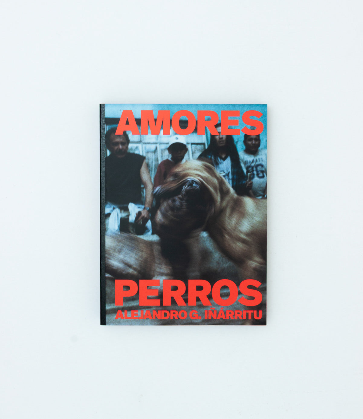 Amores Perros - Alejandro G. Iñárritu