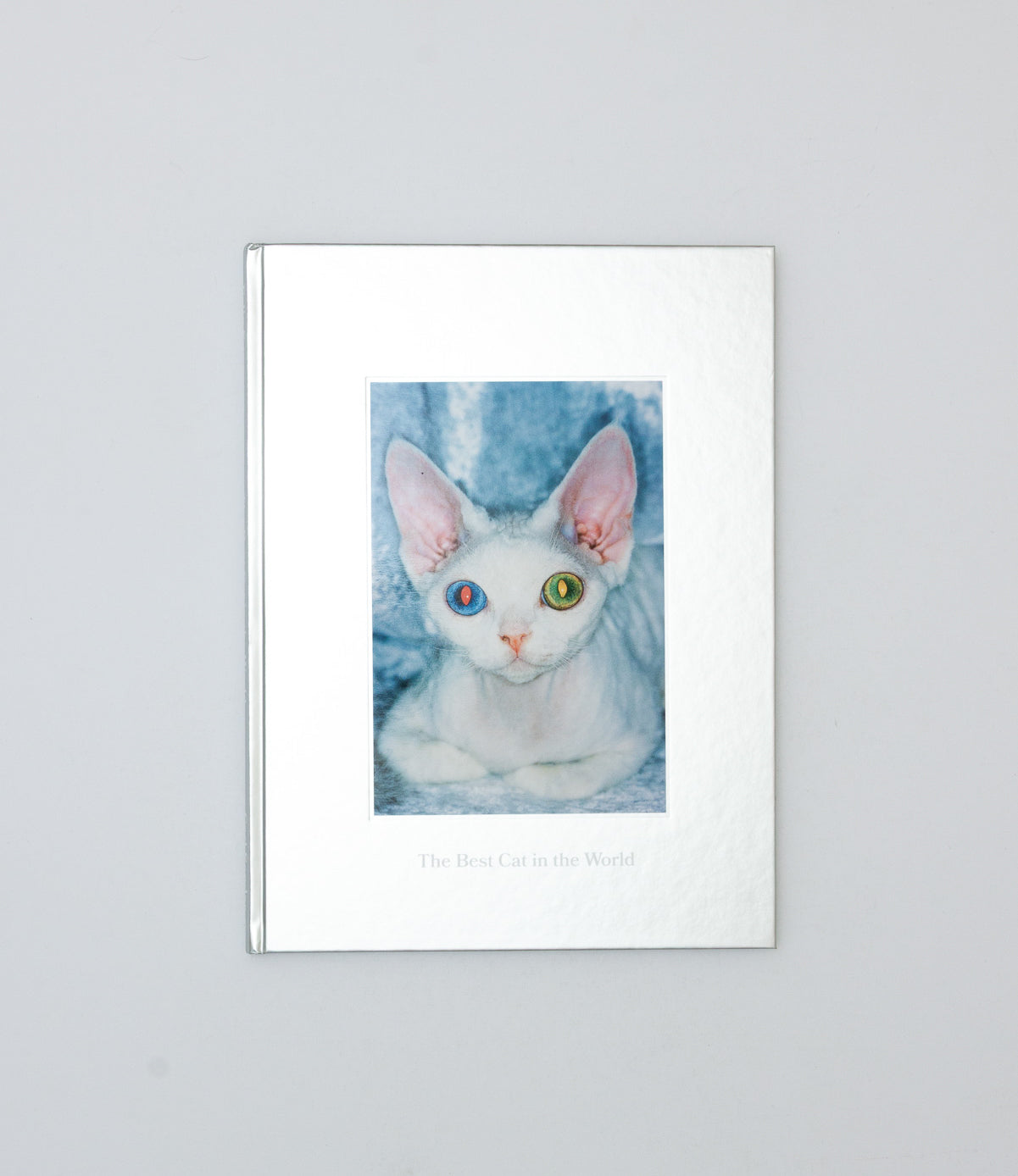 The Best Cat in the World - Felix Swensson & Carl Sander